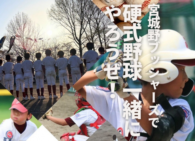 宮城リーグ・宮城野ブッシャーズ