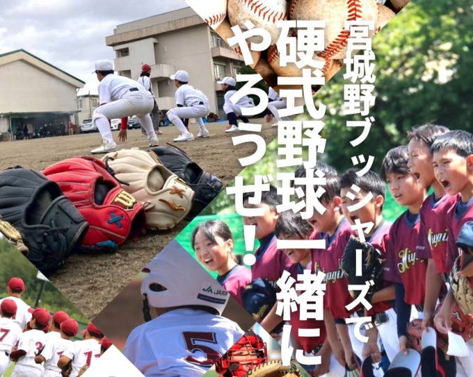 宮城リーグ・宮城野ブッシャーズ